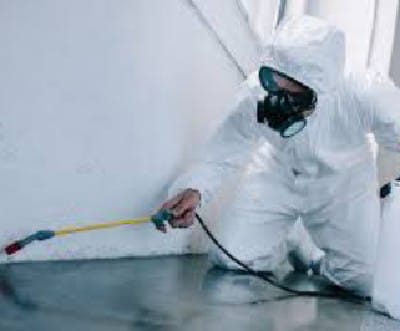 Safety, Compliance & Protection